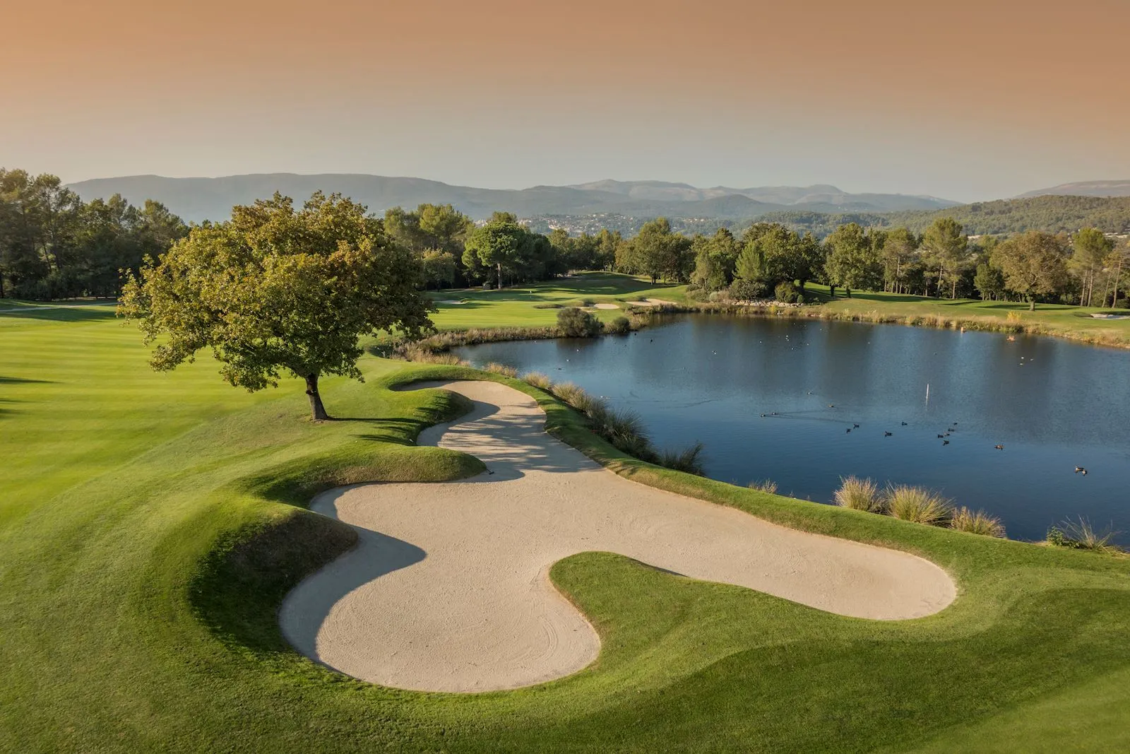 Golf de Terre Blanche à Tourrettes à proximité de La Villa Jasmin